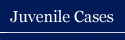 Link: Juvenile Cases